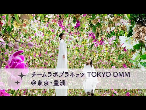 『チームラボプラネッツ TOKYO DMM』で自分もアートの一部に！