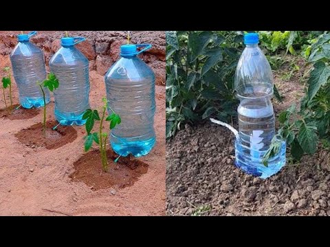 How To Make Homemade Drip Irrigation System