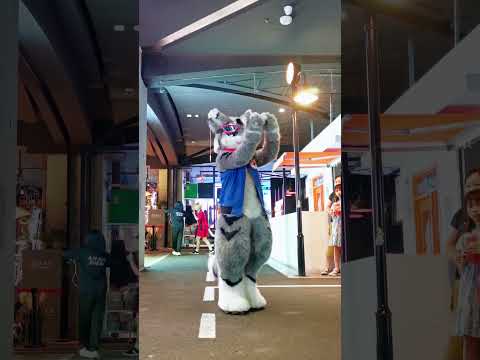 #Dance #GENTO again～#SB19 #gentosb19 #gentodancechallege #fypage #tiktokviral #tiktokdance #fursona