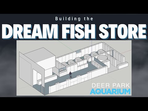 Building the Dream Fish Store!