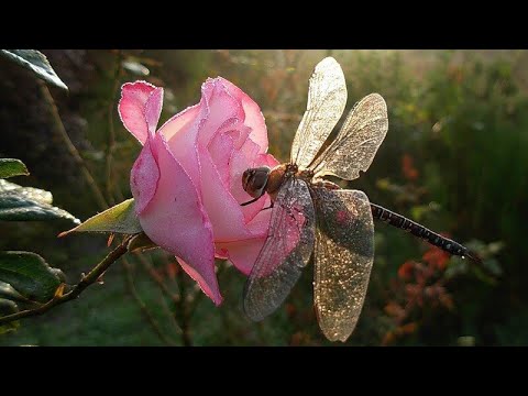 Зачем и о чем говорить. Александр Суханов