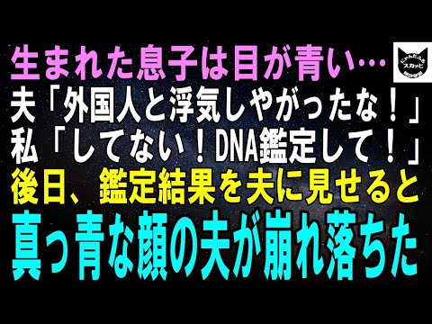 【スカッとする話】私も夫も日本人なのに息子の目が青色。夫「外国人と浮気したのか！」離婚だ！」後日、DNA鑑定の結果を夫に見せると真っ青な顔の夫は膝から崩れ落ちた→実は…【修羅場】