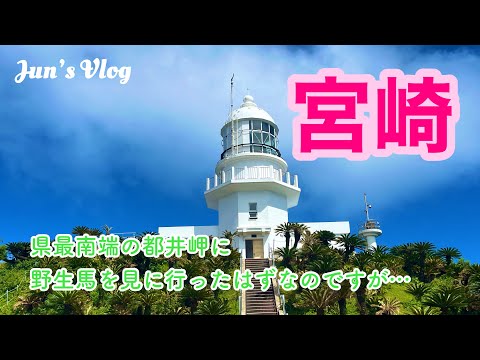 【宮崎Vlog】夏の宮崎〜県最南端の都井岬に野生馬を見に行ったはずなのですが…