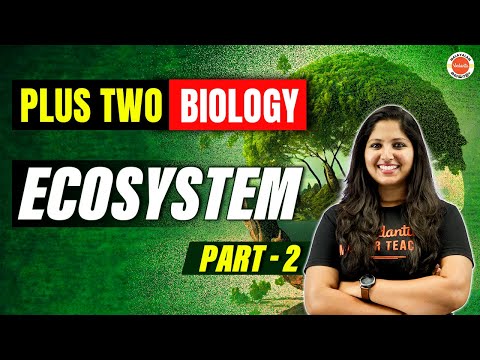 Ecosystem in Malayalam| Plus Two biology | Part 2 | Anchana Ma'am