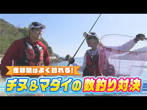 【前編】坂本大輔まさかの一歩リード！？大きくてたくさん釣れる！春の乗っ込み！チヌ＆マダイの数釣り対決｜FISHパレード（2024年4月26日放送）