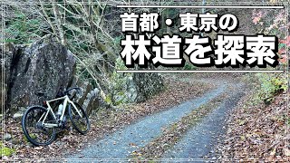 奥多摩の駅近林道探索　井戸入線　鋸山林道　槐木線　小中沢線　不老線　不動の上滝　むかし道　体験の森ヒルクライム　【グラベルさんいらっしゃい】　2022年11月末現在