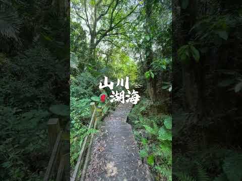 新竹穹林飛鳳山文林生態古道/ 戶外高耐腐竹木階梯站道、扶手欄杆107年至113年案件竹跡 #竹 #戶外高耐腐竹木#戶外瓷態竹木￼￼