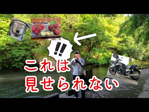 【閲覧注意？】こんなの映して良いのだろうか？全てはホルスターバッグのせいだ！