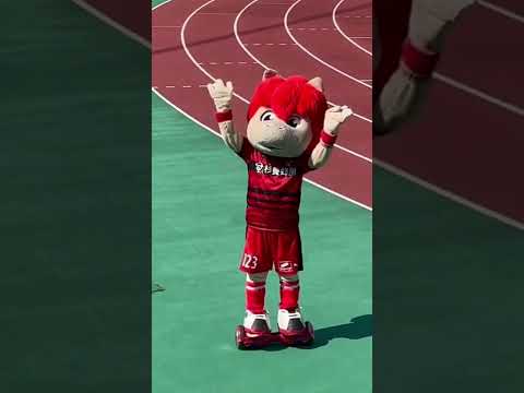 【ロアッソ熊本】FC琉球サポーターと戯れるロアッソくん♥️