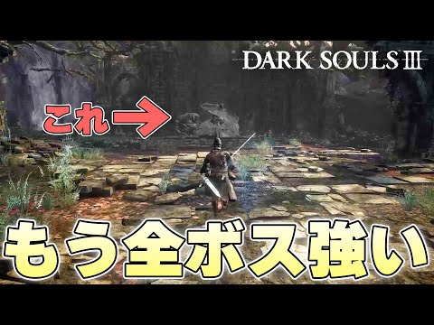 『じゃあもうやめちまいなァッ！』かつてのイージーボスにボコボコにされ憤る火の無い灰【DARK SOULSⅢ実況】