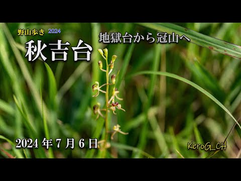 【秋吉台－地獄台から冠山へ－】野山歩き2024