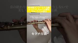 セドナ序曲【演奏解説つき】吹奏楽コンクール人気曲フルートソロ吹いてみた