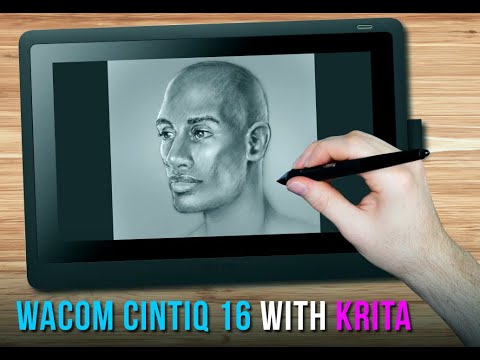 Wacom Cintiq 16 - Quick Portrait Study with Krita (Loomis Method)