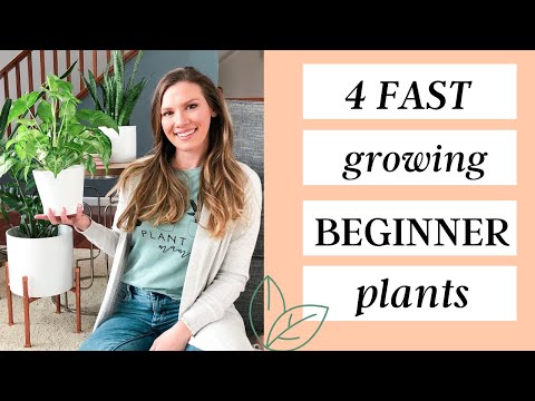 4 Fast Growing EASY Beginner Plants // Laura's Natural Life