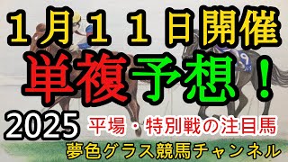 【単複平場予想】2025年1月11日JRA平場戦！すばるステークスの予想等、爆発力がありそうな馬を挙げながらピンかパー狙いの平場・特別戦を楽しむ8頭！