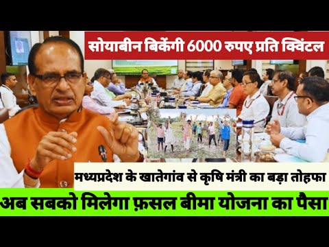 कृषि मंत्री shivraj singh chauhan के इस फैसले से मध्यप्रदेश में soyabean बिकेगा 6000₹ प्रति क्विंटल।