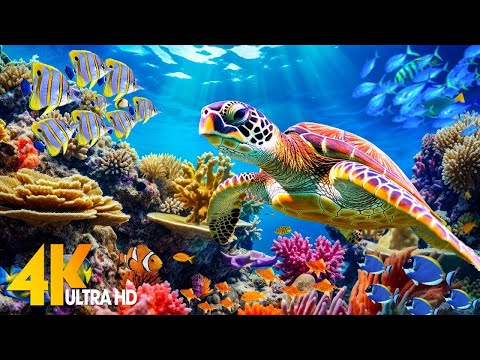 Under Red Sea 4K - Beautiful Coral Reef Fish in Aquarium, Sea Animals for Relaxation - 4K Video #193