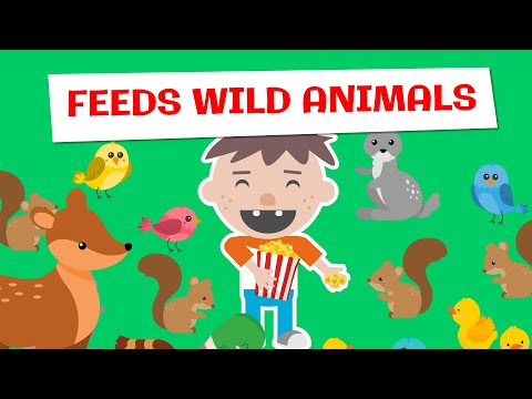 Don’t Feed Wildlife, Roys Bedoys! Why You Should Not Feed Wild Animals - Read Aloud Children's Books