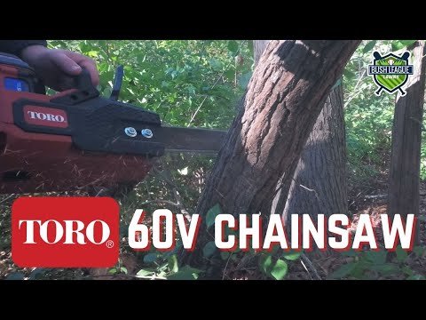 Fall Cleanup Featuring TORO 60V Chainsaw