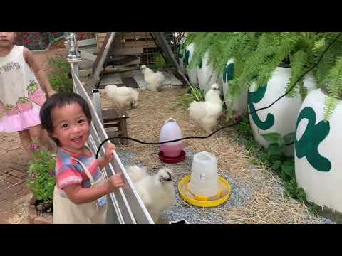 farm rak cafa บางบอน3 😊 I Vlog I กระเตงลูกเที่ยว