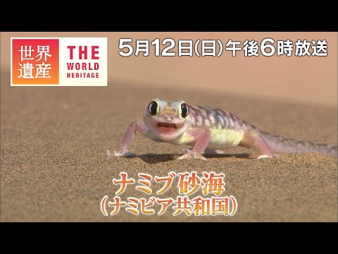 【TBS世界遺産】南北320km！アフリカの大砂漠～ナミブ砂海（ナミビア）【5月12日午後6時放送】