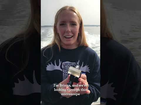 All aboard a research vessel with Saint Anselm Biology