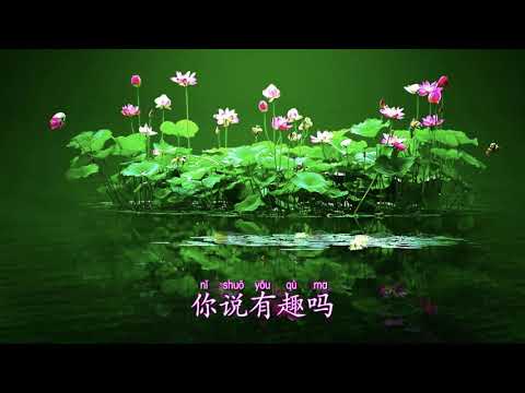 大千世界 奇妙万千 趣味故事 【花语石香 】