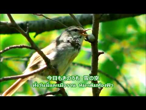 早春賦  ::  Sooshunfu :: บทกวีต้นฤดูใบไม้ผลิ