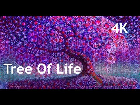 Tree Of Life Meditation Mindfulness