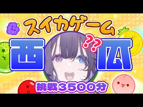 【スイカゲーム】擺攤賣西瓜啦！今天能不能順利種出西瓜突破3000分呢？【凝川眠 kokawa nemuri】