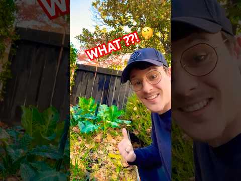 My Wife ROASTS My Garden...And Its Hilarious!