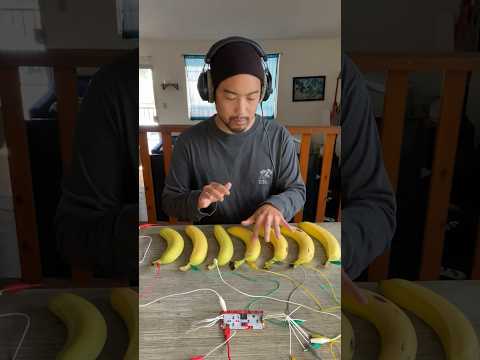 Playing " Do I Wanna Know" by Arctic Monkeys with Bananas 🍌