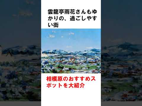 【相模原】住みやすすぎ！アクセス抜群！穴場スポット大公開！【雲龍亭雨花さんもオススメ】 # s h o r t s   # 相 模 原   # 住 み や す い 街   # 穴 場 ス ポ ッ ト