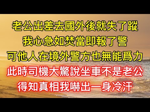 老公出差去國外後就失了蹤，我心急如焚當即報了警，可他人在境外警方也無能爲力，此時司機大驚說坐車不是老公，得知真相我嚇出一身冷汗