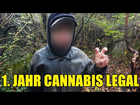 Die erste legale Cannabis Saison in Deutschland