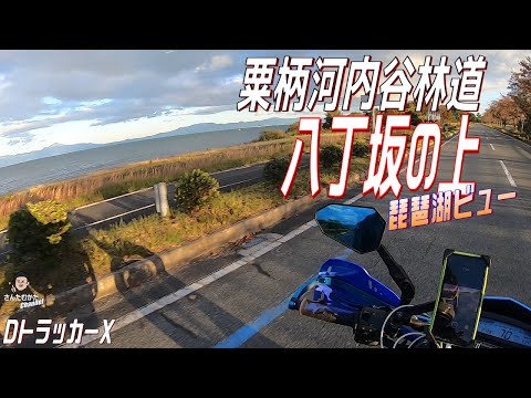 【DトラッカーX #150】粟柄河内谷林道・八丁坂の上からの琵琶湖ビューは最高。滋賀県名所のマキノ・メタセコイヤ並木、外ヶ浜で秋の滋賀県をたのしむ【関西】【滋賀】【日帰りツーリング】