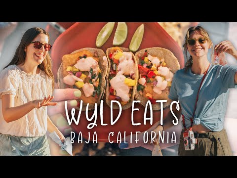 Fish Tacos Recipe and Camping in Baja California | Wyld Eats | Presented by Gerber