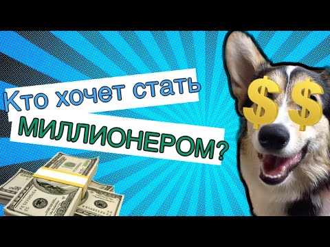 Кто хочет стать миллионером? Играет Луночка булочка | Корги Луна из ТИК ТОК | #Shorts