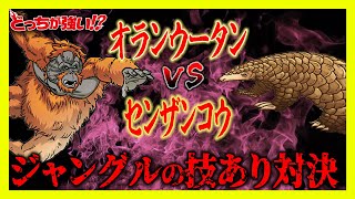 【どっちが強い】オランウータンとセンザンコウがバトル！ジャングルの技あり対決を制するのはどっち!【漫画】