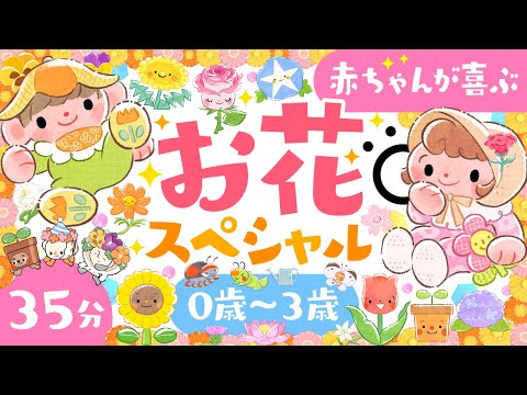 【赤ちゃんが喜ぶ音楽】赤ちゃんの笑いが止まらないお花スペシャル🌷│赤ちゃんが泣き止む 笑う 喜ぶ 寝る│0歳1歳2歳3歳の知育アニメ│乳児・幼児向け知育動画【子供の歌】