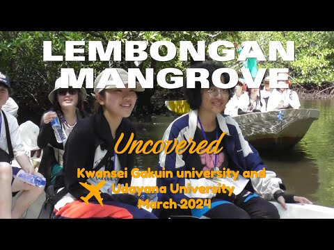 4K Mangrove explore - Kayak in Lembongan Bali UNUD FKP & Kwansei Gakuin University