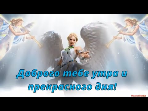 С Добрым Утром и Хорошим Днём! Пусть Ангел хранит тебя! Дня Прекрасного Желаю! Красивое Пожелание!