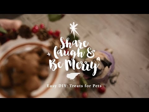 【簡易DIY：送給毛孩們的小禮物 Easy DIY: Treats for Pets】