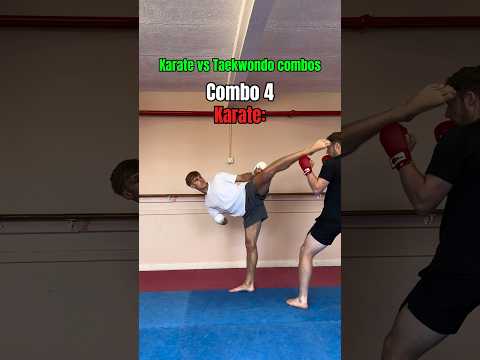 Karate vs Taekwondo COMBOS