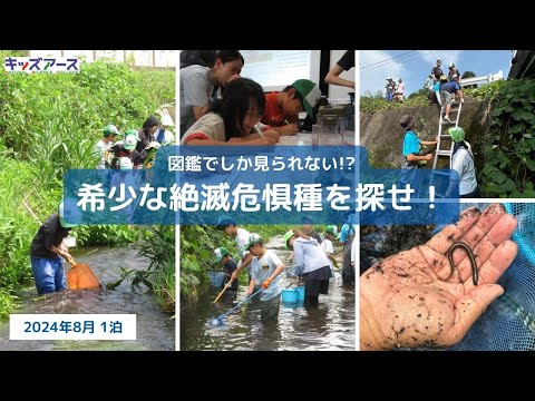 【野外活動報告】図鑑でしか見られない!? 希少な絶滅危惧種を探せ!!