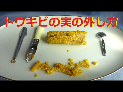 【トウキビの実の外し方】トウキビの実の外し方　♪