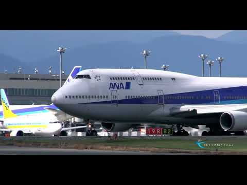 【新千歳空港 飛行機動画】All Nippon Airways(ANA) Boeing747-400D JA8960