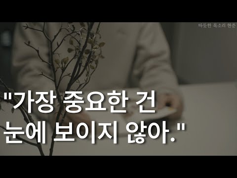 어린왕자 전편(더디 출판사)ㅣ생텍쥐페리ㅣ가장 중요한 건 눈에 보이지 않아ㅣ책 읽어주는 남자ㅣ잠잘 때 듣는ㅣ오디오북 ASMR