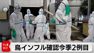 鳥インフル確認今季2例目　千葉の養鶏場3万8,000羽処分へ