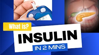 Insulin - How insulin works, in 2mins!